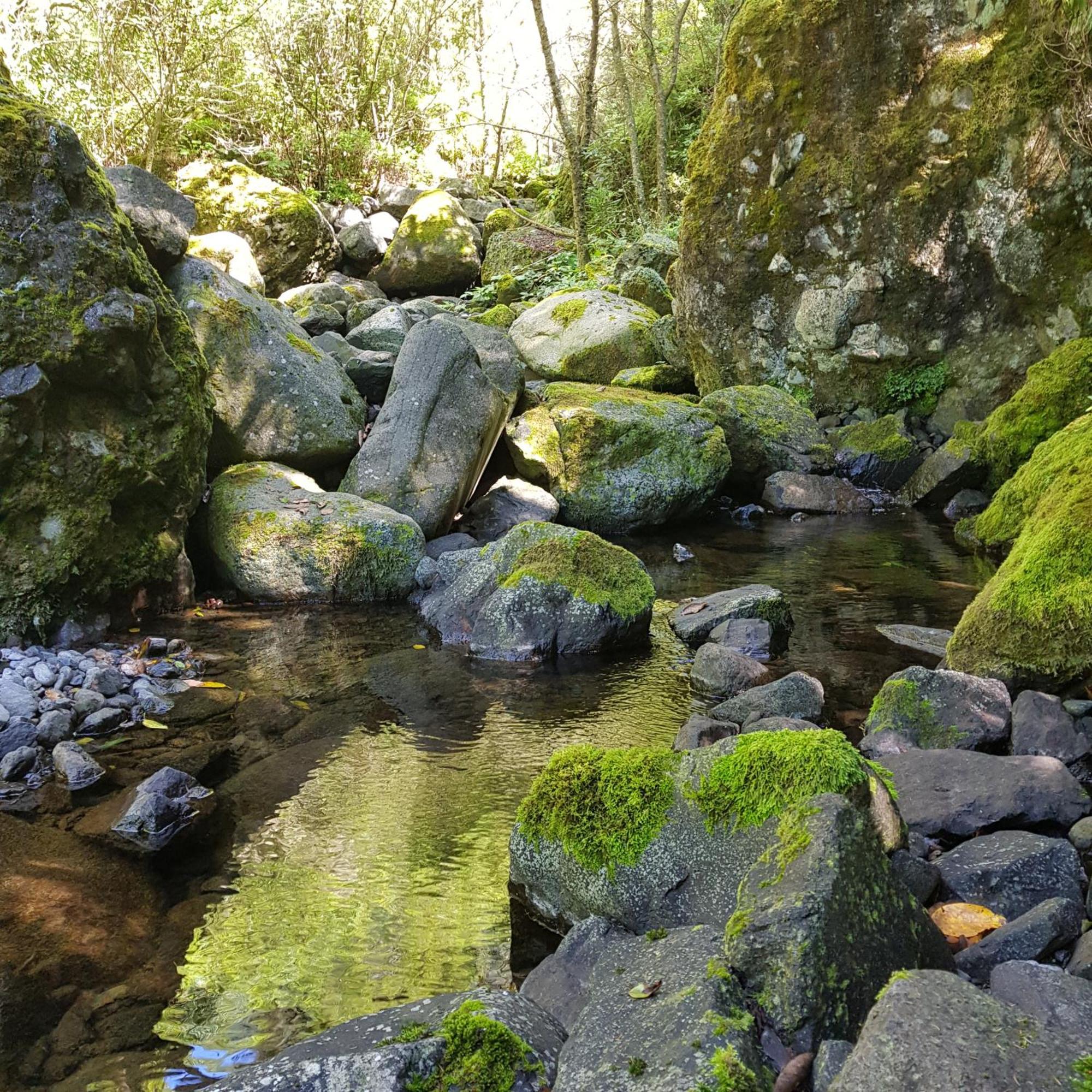 Casinhas Da Laurissilva Villa São Vicente Buitenkant foto